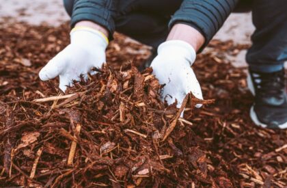 mulch_top_up